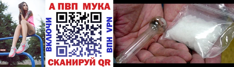 APVP СК  Коряжма 