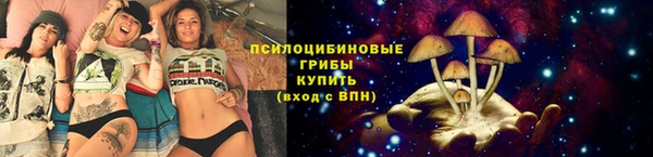 шишки Нефтекумск