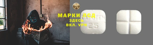 шишки Нефтекумск