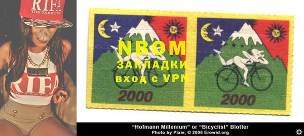 шишки Нефтекумск