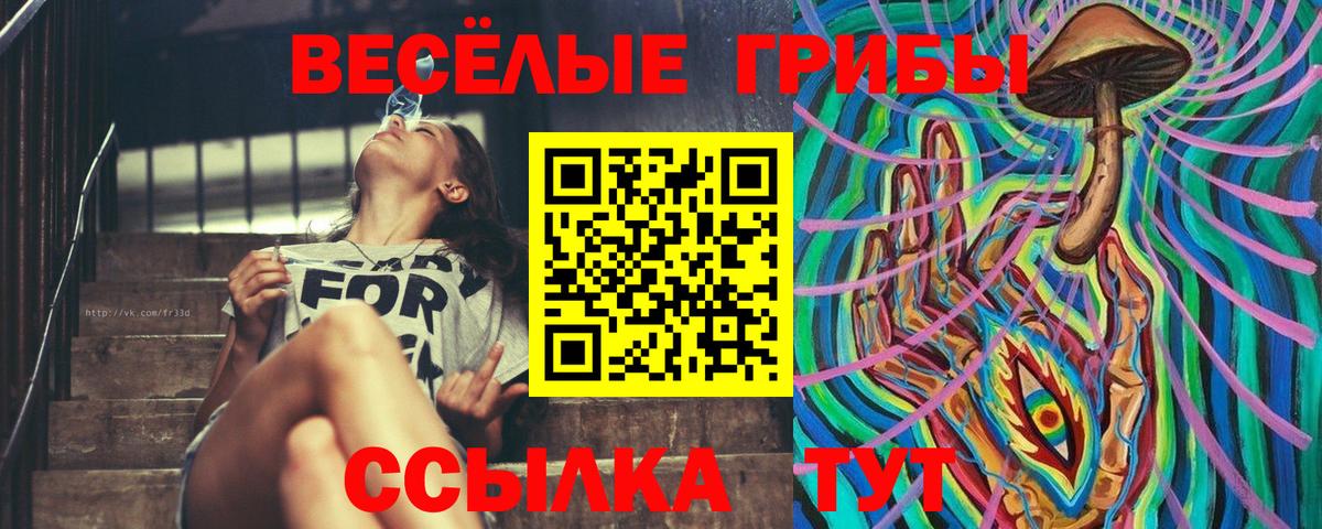 Псилоцибиновые грибы Cubensis Коряжма